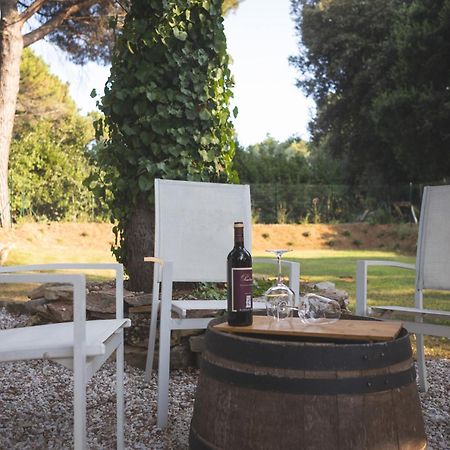 Podere San Filippo B&B-Apartment-Pet Friendly-Rent Bike And Bike Friendly Bibbona Exterior photo