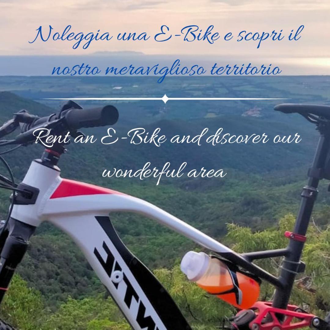 Podere San Filippo B&B-Apartment-Pet Friendly-Rent Bike And Bike Friendly Bibbona Exterior photo